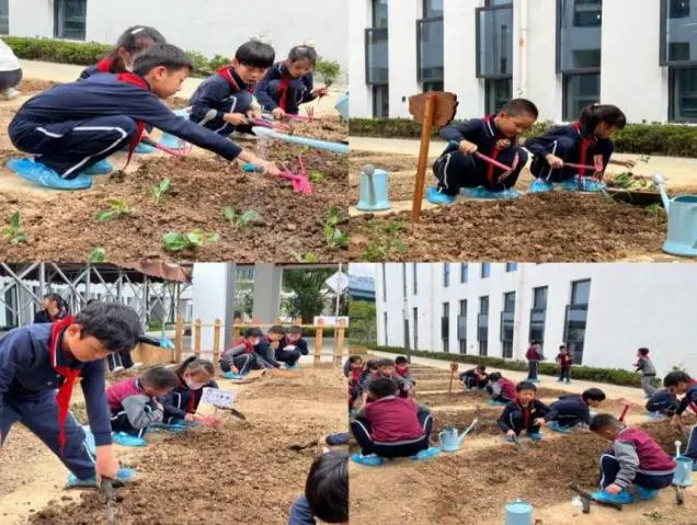 为什么篮球后卫需要特别的体能训练_0