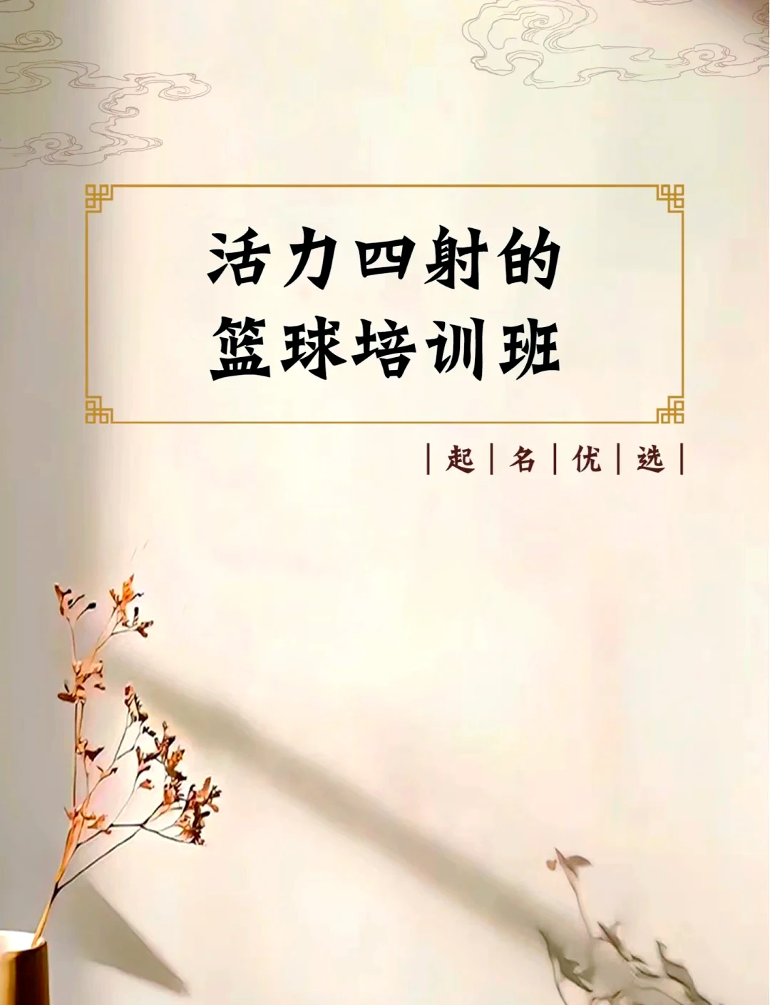高端大气的篮球训练营名字